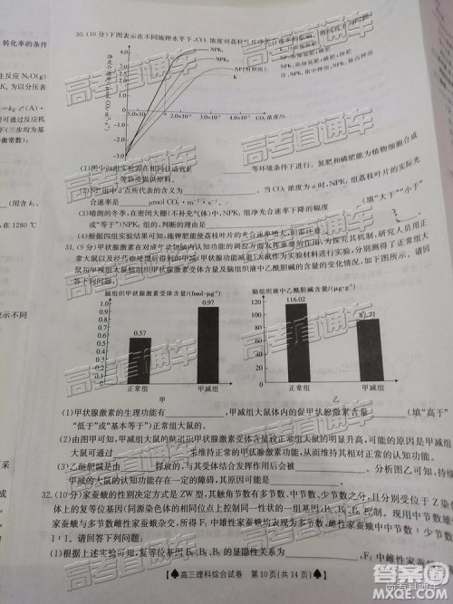 2019年5月24日金太阳百校联考文理综试题及参考答案 2019年5月24日金太阳百校联考文理综试题及参考答案