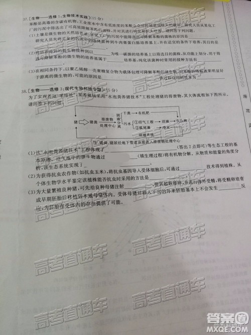 2019年5月24日金太阳百校联考文理综试题及参考答案