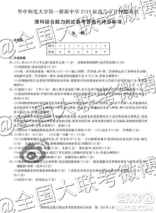华师一附中2019届高三5月押题考试理综答案 华师一附中2019届高三5月押题考试理综答案