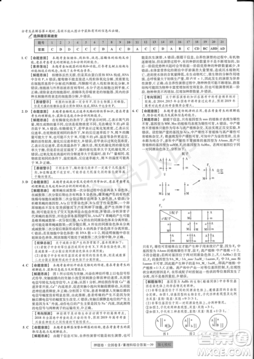 2019年高考最后一卷第一-七模拟理综试题及答案