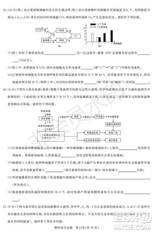 2019年湖南省长沙一中师大附中雅礼中学长郡中学五月联考理综试卷答案