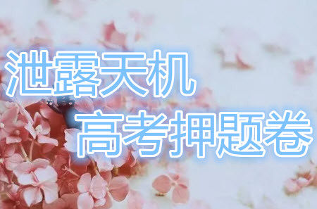 2019年泄露天机高考押题卷一理数试题及参考答案 2019年泄露天机高考押题卷一理数试题及参考答案