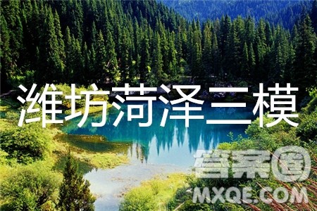 2019年潍坊菏泽三模语文试题及参考答案