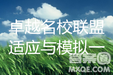 2019年卓越名校联盟适应与模拟一文综试题及答案 2019年卓越名校联盟适应与模拟一文综试题及答案