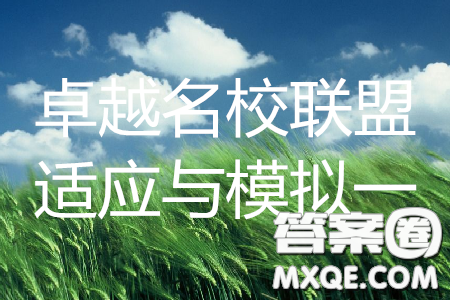 2019年卓越名校联盟适应与模拟一文数试题及答案 2019年卓越名校联盟适应与模拟一文数试题及答案