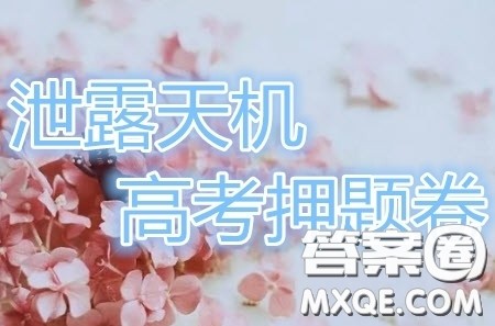 2019年泄露天机高考押题卷二理数试题及参考答案 2019年泄露天机高考押题卷二理数试题及参考答案