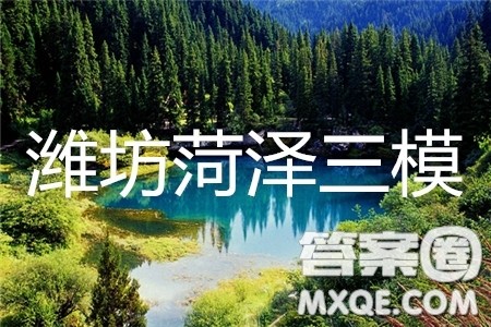 2019年潍坊菏泽三模理数试题及参考答案 2019年潍坊菏泽三模理数试题及参考答案