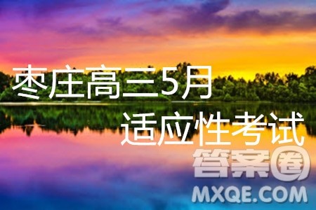 2019年枣庄高三5月适应性考试理数试题及参考答案