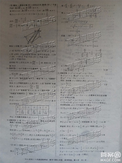 2019年枣庄高三5月适应性考试理数试题及参考答案 2019年枣庄高三5月适应性考试理数试题及参考答案