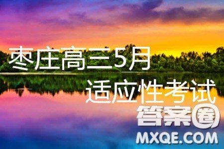 2019年枣庄高三5月适应性考试语文试题及参考答案