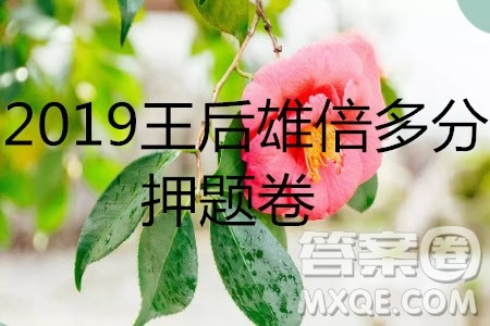 2019年王后雄倍多分押题卷理科数学试题及参考答案 2019年王后雄倍多分押题卷理科数学试题及参考答案