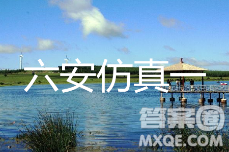 2019年安徽省六安一中高考仿真训练一语文试题及答案