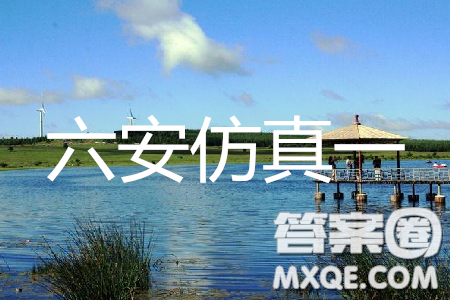 2019年安徽省六安一中高考仿真训练一文理综试题及答案 2019年安徽省六安一中高考仿真训练一文理综试题及答案
