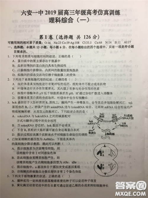 2019年安徽省六安一中高考仿真训练一文理综试题及答案