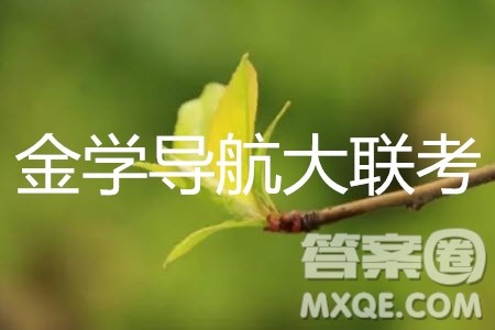 2019年金学导航大联考三理科数学试题及答案