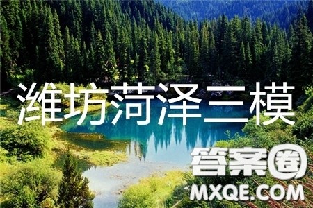 2019年潍坊菏泽三模理综试题及参考答案