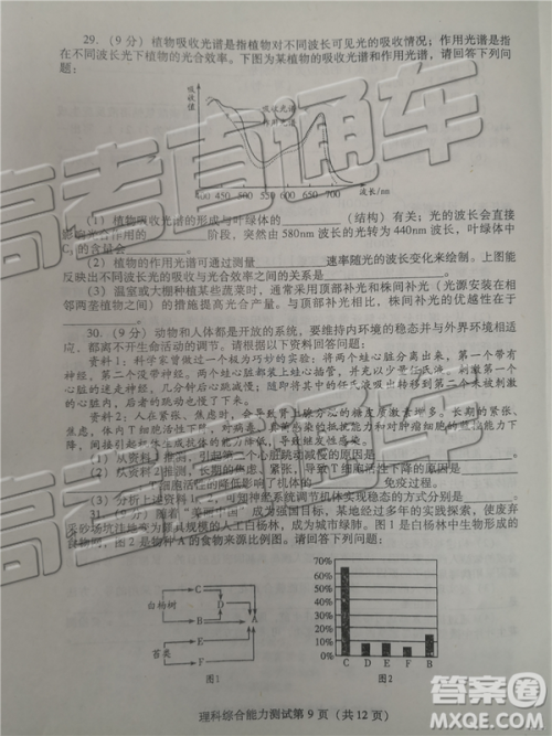 2019年潍坊菏泽三模理综试题及参考答案 2019年潍坊菏泽三模理综试题及参考答案
