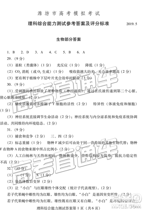 2019年潍坊菏泽三模理综试题及参考答案