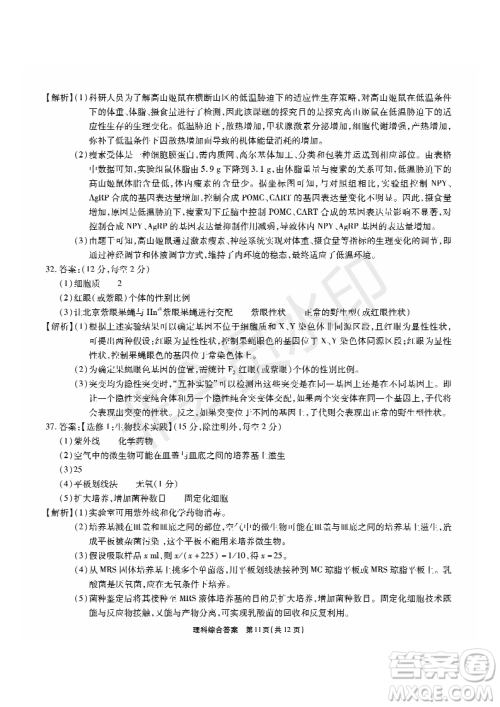 2019年5月河南名校高三压轴第三次考试考试理综试题及答案 2019年5月河南名校高三压轴第三次考试考试理综试题及答案