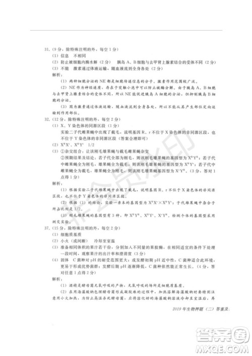 2019年伯乐马普通高等学校招生全国统一押题考试二理综试题及答案