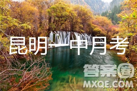 昆明一中2019届高三第八次月考联考文综答案 昆明一中2019届高三第八次月考联考文综答案