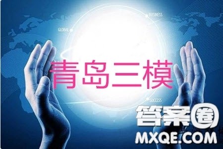 2019青岛市高三三模文数试题及参考答案