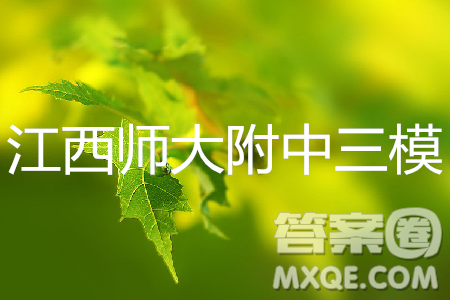 2019年江西师大附中高三年级三模文综试卷答案 2019年江西师大附中高三年级三模文综试卷答案