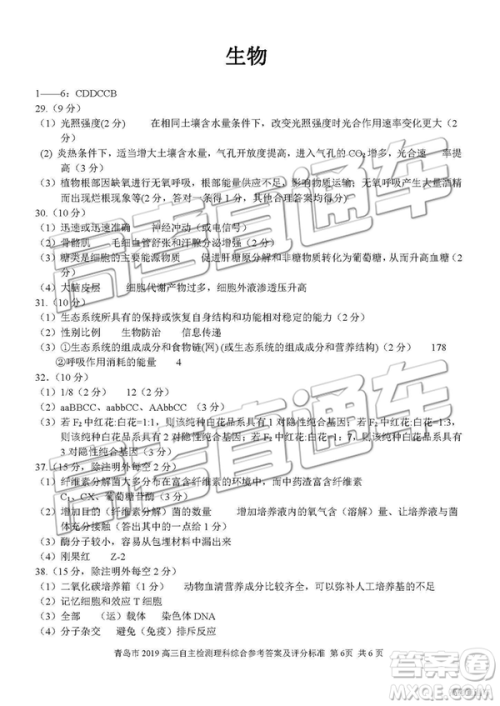 2019年青岛三模理综试题及答案 2019年青岛三模理综试题及答案