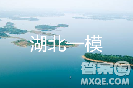 2019年湖北省高三招生全国统一考试模拟试题卷一英语答案