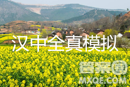 2019年陕西省汉中市高三全真模拟考试文综试题答案 2019年陕西省汉中市高三全真模拟考试文综试题答案