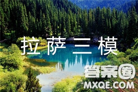 西藏拉萨市2019届高三第三次模拟考试理数试题及参考答案 西藏拉萨市2019届高三第三次模拟考试理数试题及参考答案