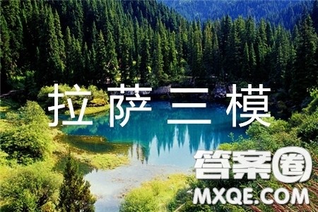 2019年拉萨市高三第三次模拟考试语文试卷答案 2019年拉萨市高三第三次模拟考试语文试卷答案