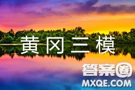 湖北省黄冈中学2019届高三第三次模拟考试理数试题及参考答案