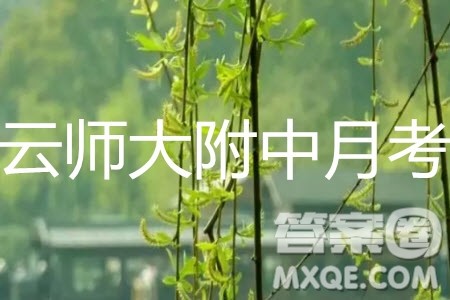 2019年云南师大附中第九次月考文理数答案