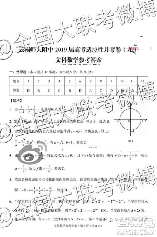 2019年云南师大附中第九次月考文理数答案