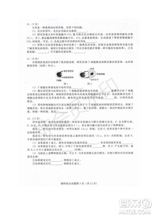 西藏拉萨市2019届高三第三次模拟考试理综试题及参考答案