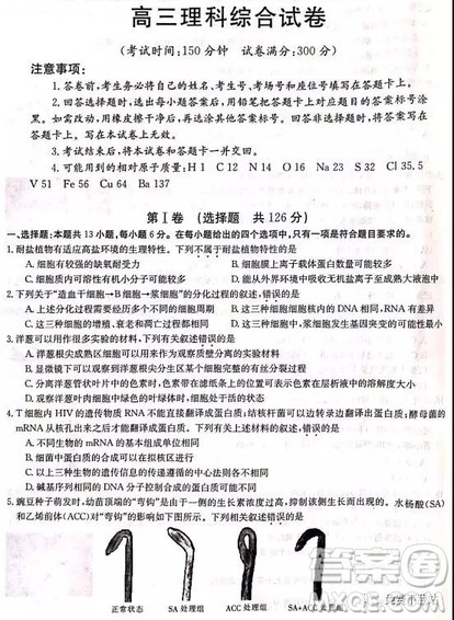 2019年河南省名校联盟冲刺压轴卷五理综试题及答案 2019年河南省名校联盟冲刺压轴卷五理综试题及答案