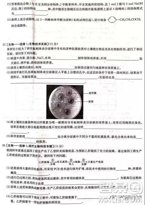 2019年河南省名校联盟冲刺压轴卷五理综试题及答案