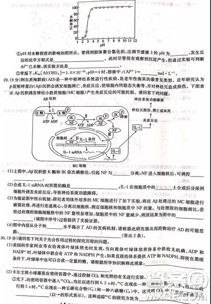 2019年河南省名校联盟冲刺压轴卷五理综试题及答案