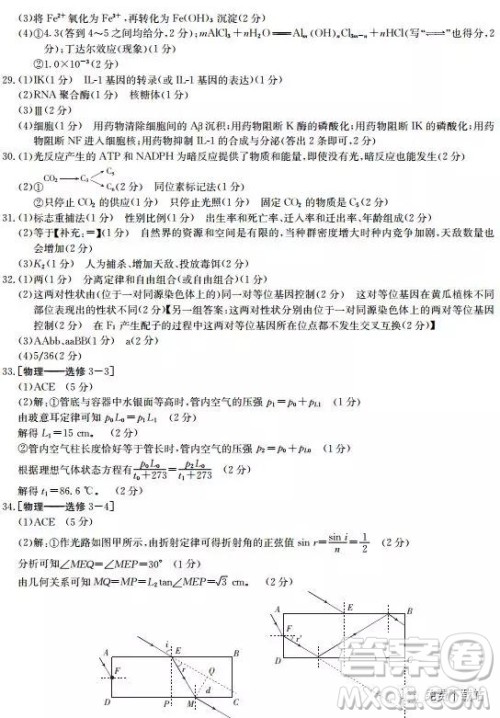 2019年河南省名校联盟冲刺压轴卷五理综试题及答案 2019年河南省名校联盟冲刺压轴卷五理综试题及答案