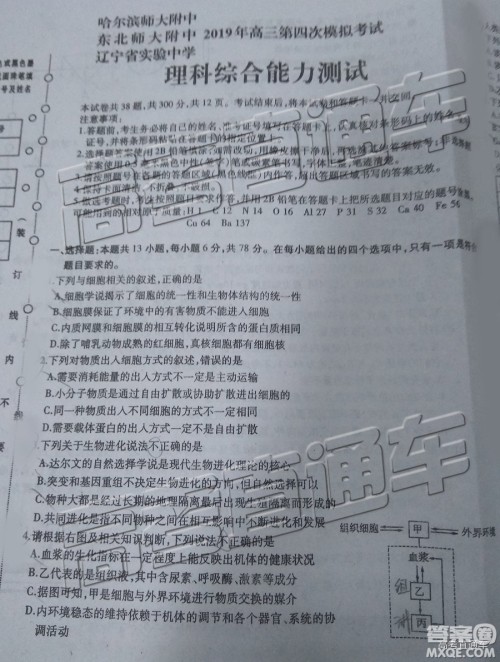 2019年东北三省三校四模理综试题及答案
