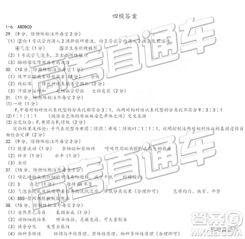 2019年东北三省三校四模理综试题及答案