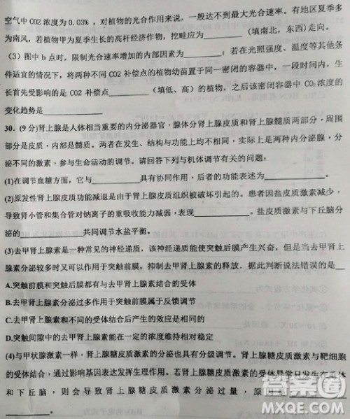 2019年衡水中学高三考前模拟卷文理综试题及参考答案 2019年衡水中学高三考前模拟卷文理综试题及参考答案