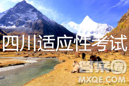 2019年四川适应性考试语文试题及参考答案 2019年四川适应性考试语文试题及参考答案