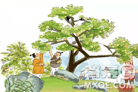 梨虽无主我心有主作文800字 关于梨虽无主我心有主作文 梨虽无主我心有主作文800字 关于梨虽无主我心有主作文