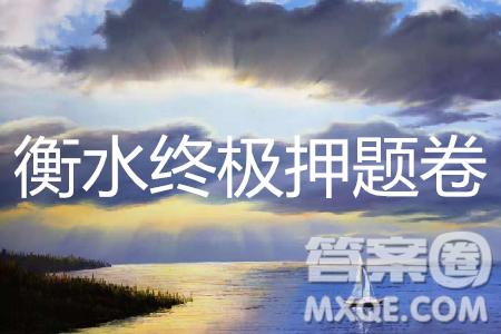 2019年衡水中学终极押题卷理数试题及答案