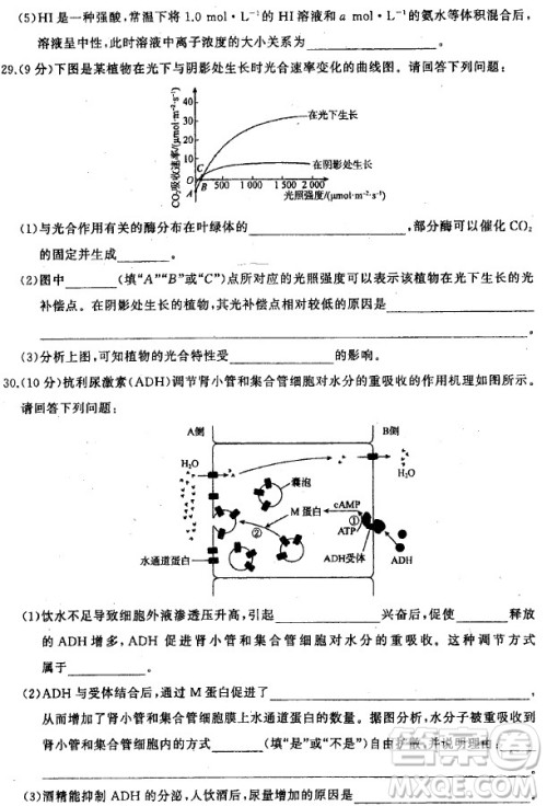 2019年衡水中学终极押题卷理综试题及答案