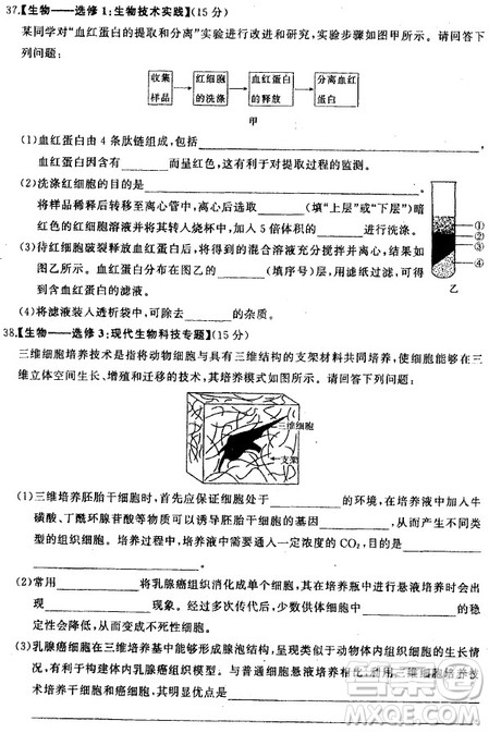 2019年衡水中学终极押题卷理综试题及答案