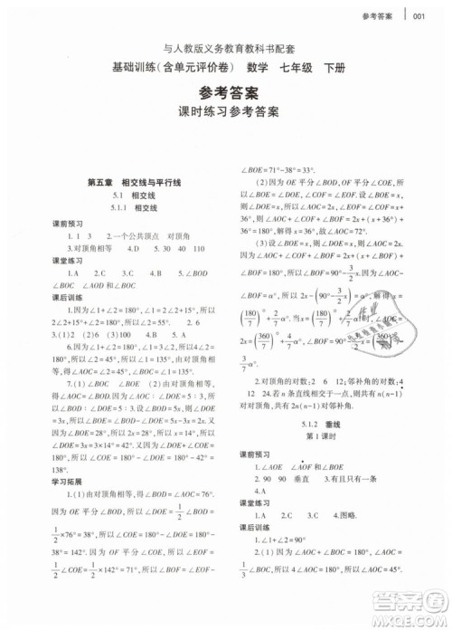 2019年基础训练七年级数学下册人教版大象出版社答案 2019年基础训练七年级数学下册人教版大象出版社答案
