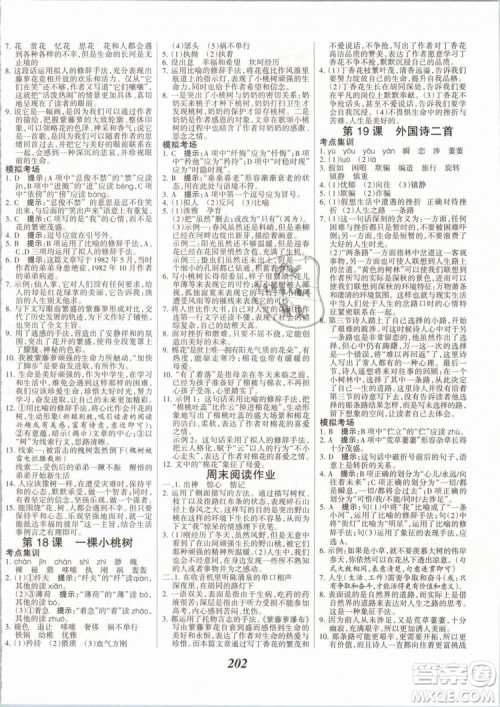 2019年全优课堂考点集训与满分备考七年级语文下册人教版答案